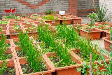Environmental Sustainability Environmental Sustainability